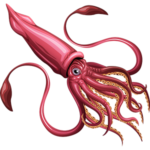 Squid PNG-47196